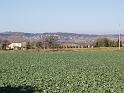 Braconnac 004